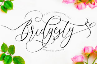 Bridgesty: A Romantic Script Handwritten Typeface for Branding