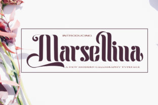 Marsellina: The Handwritten Font for Authentic Business Branding