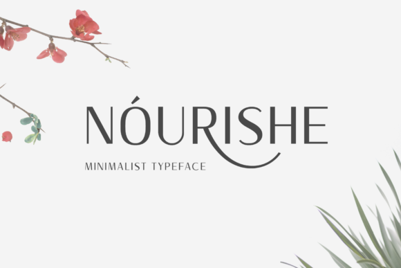 Nourishe: A Modern Sans Serif for Standout Designs